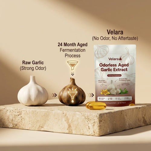 Velara: Vessel Reactivator Aged Garlic Extract