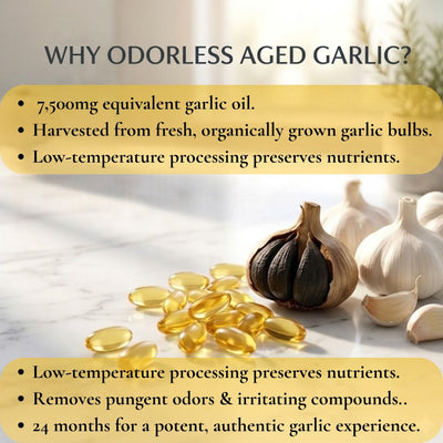 Velara: Vessel Reactivator Aged Garlic Extract